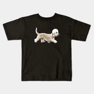 Dandie Dinmont terrier Kids T-Shirt